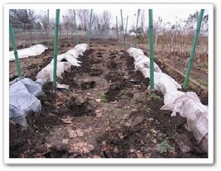 Купить обувь зима дети